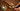 EGM Ninfas & Aged Cognac