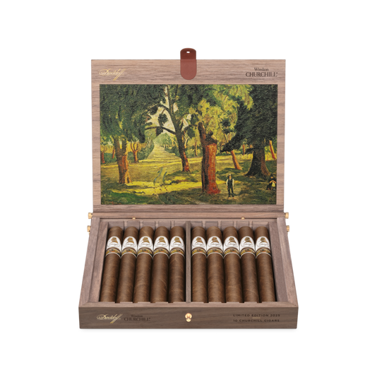 Davidoff Winston Churchill Limited Edition 2025 Cigar