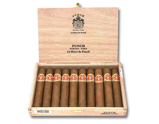 Punch Short de Punch Cigar